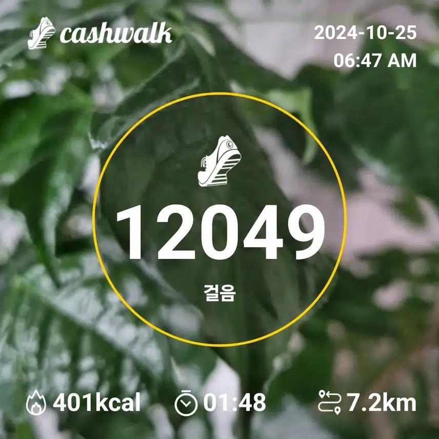   오늘도 두번 걸음