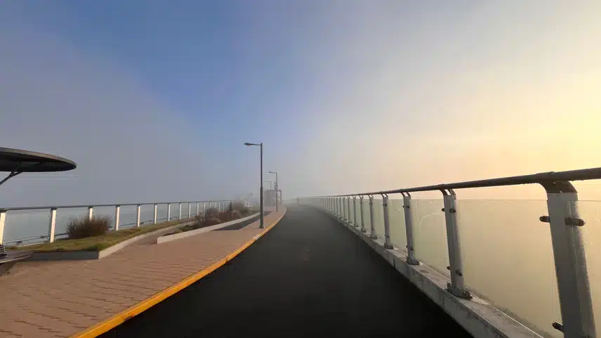 7844462.jpg