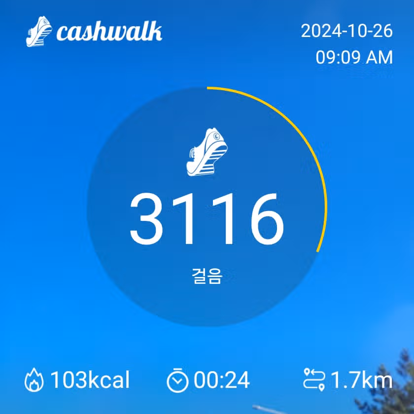3천보걷기 달성했습니다 