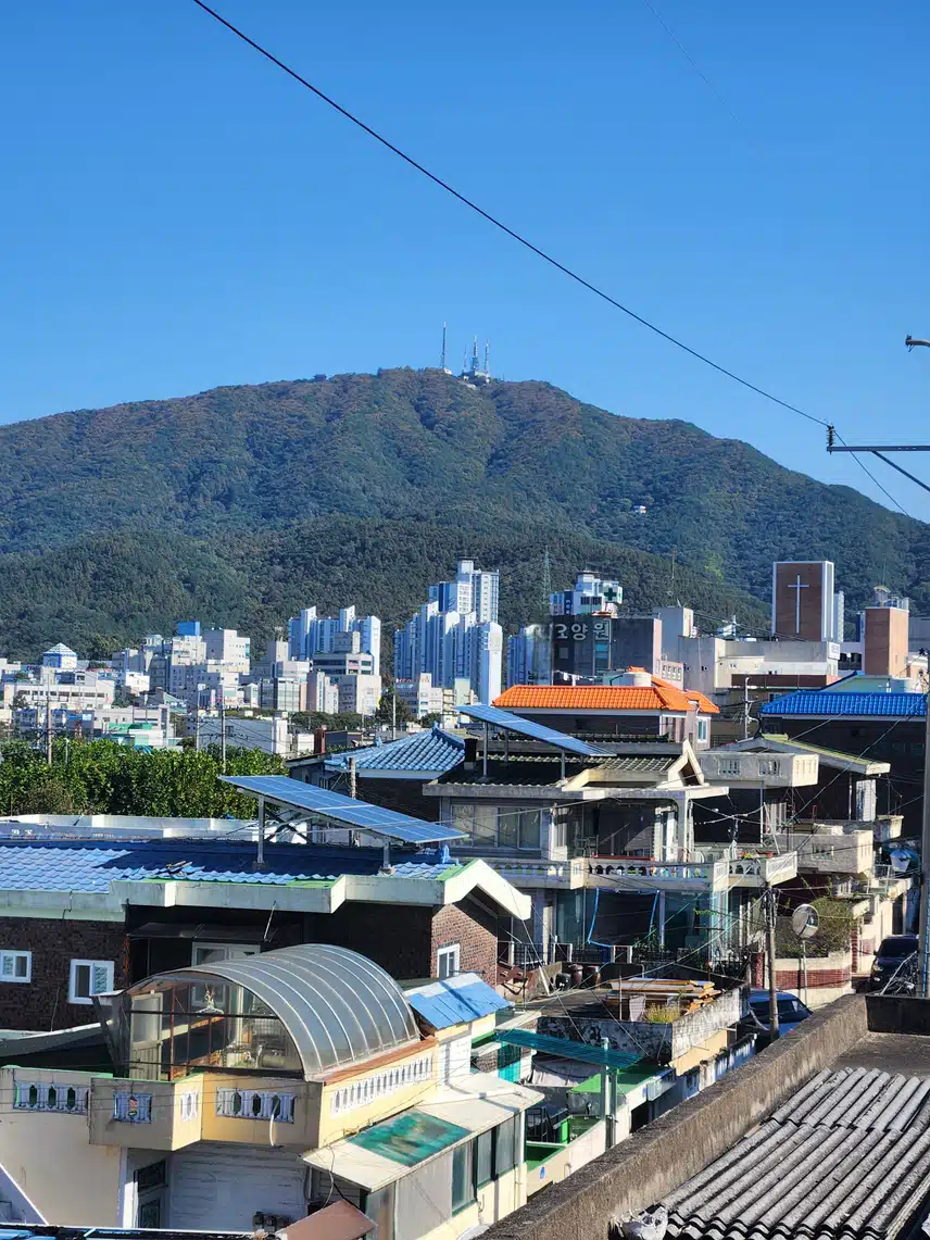 우와~~  구름이 한개도 없어요🥰🥰🥰