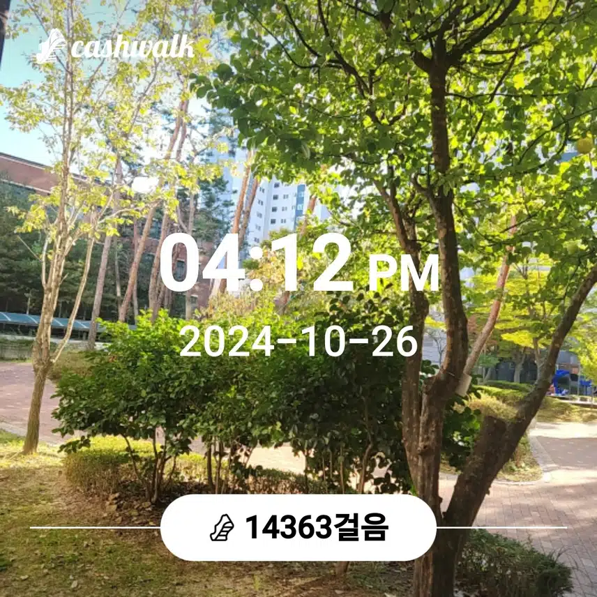 오늘도 만보걷기 완성...^