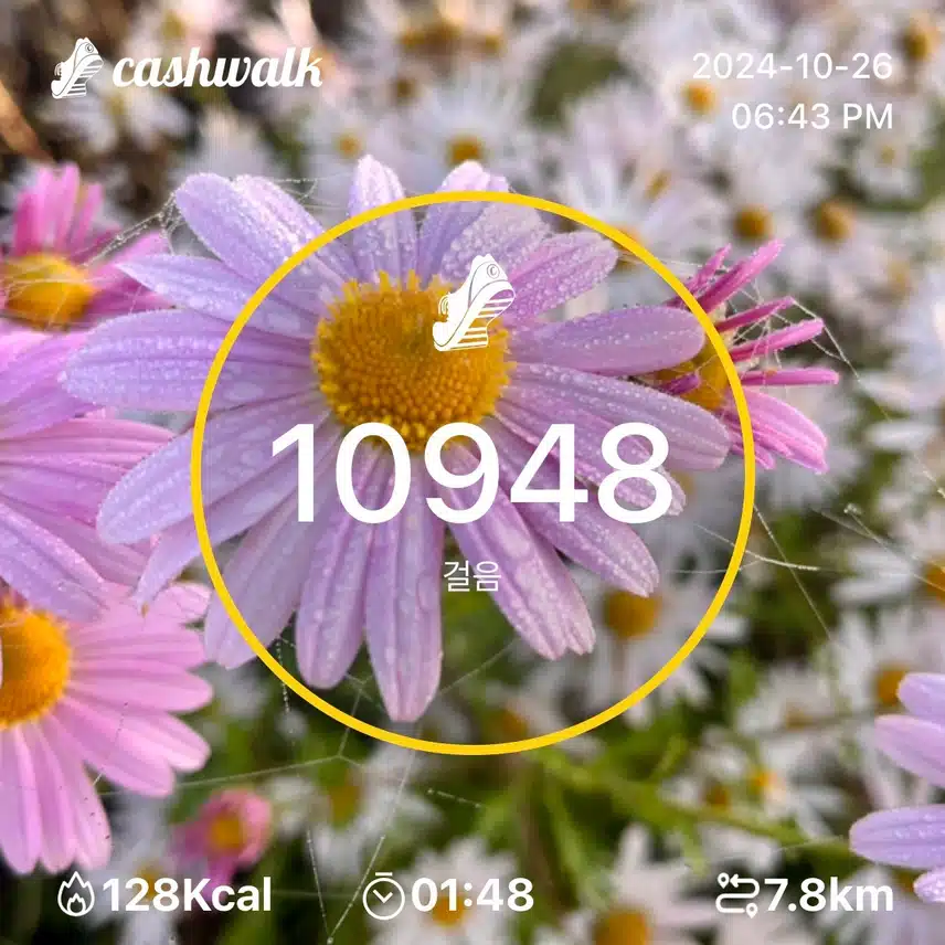 토요일 만보 걷기 🌸만보