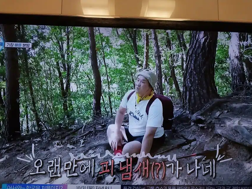 나혼자산다 등산가요