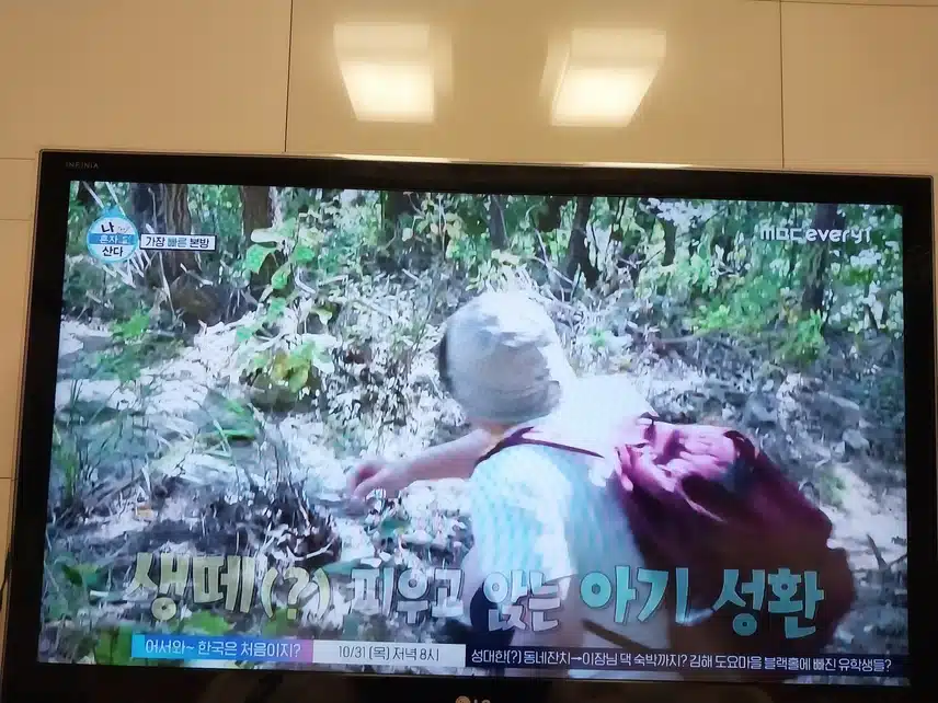 나혼자산다 등산가요