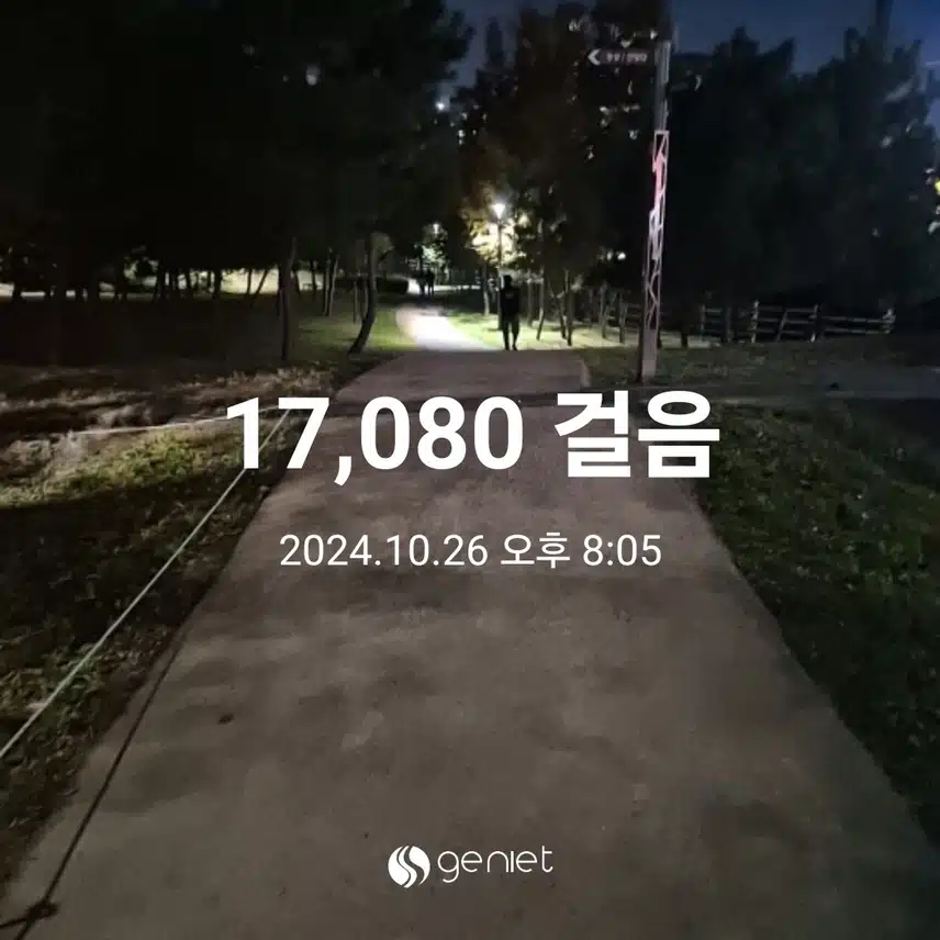 토요일 밤산책까지 완료했어요