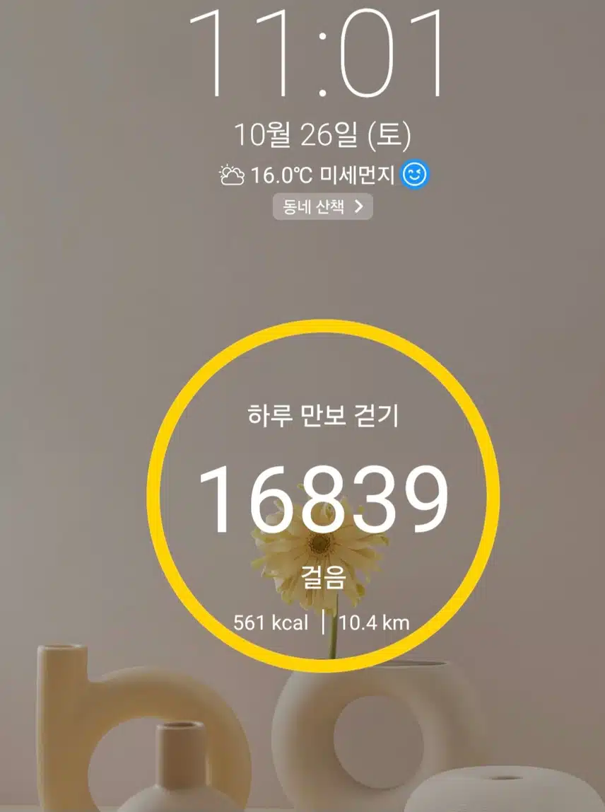 1만6천보