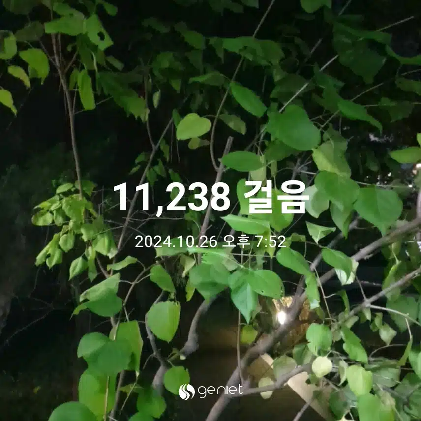 만보 했어요~~