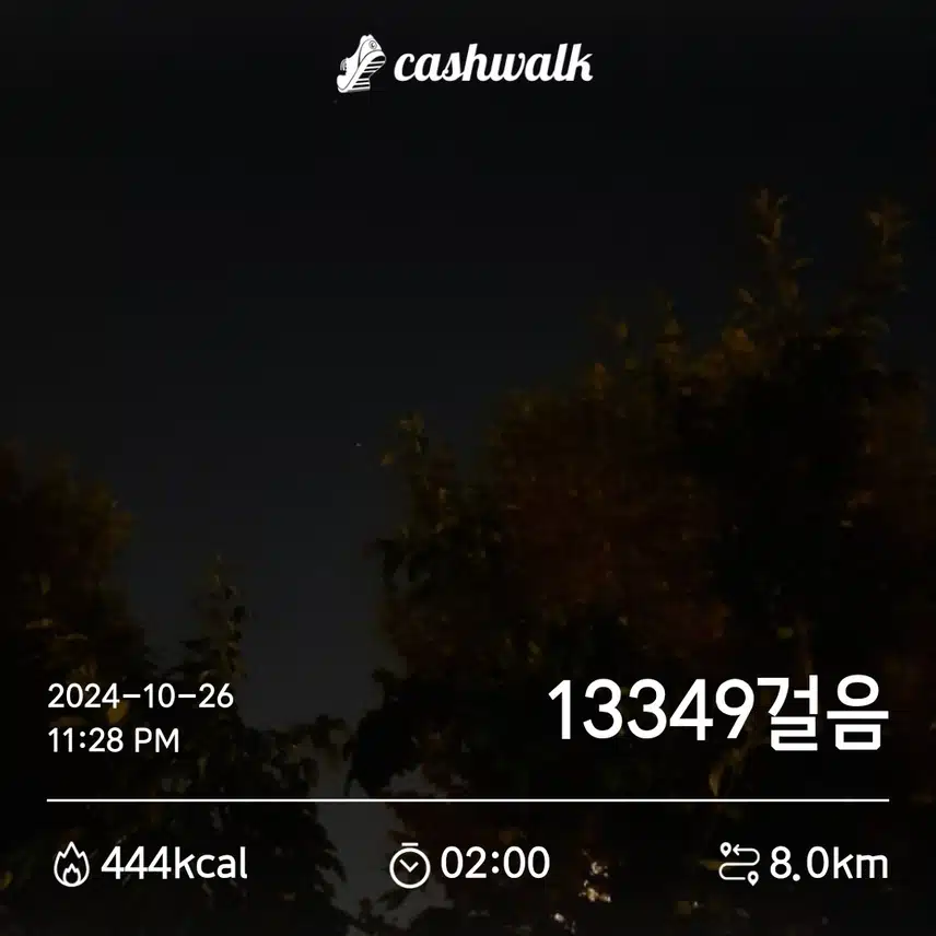 토요일 걷기완료 