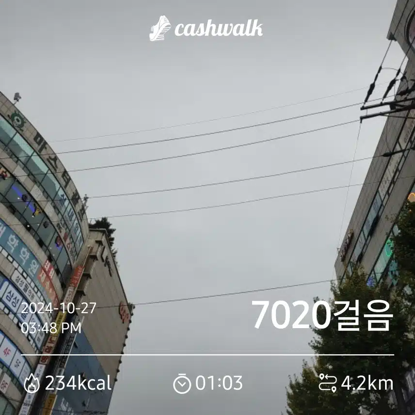 흐린날 7천보 인증