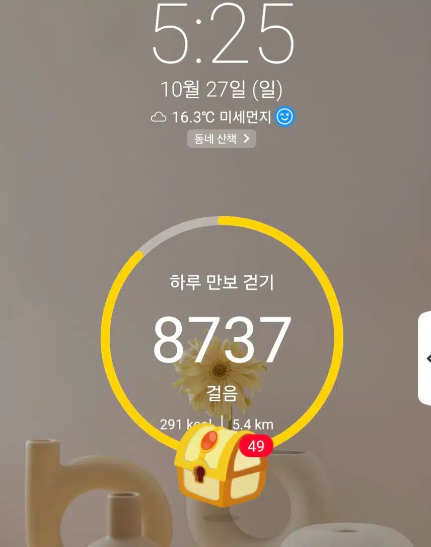 하루 6천보 걷기 