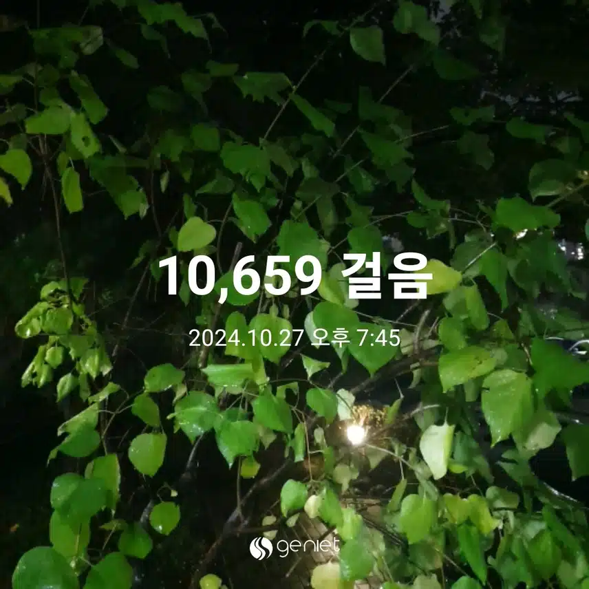 만보 했어요~~