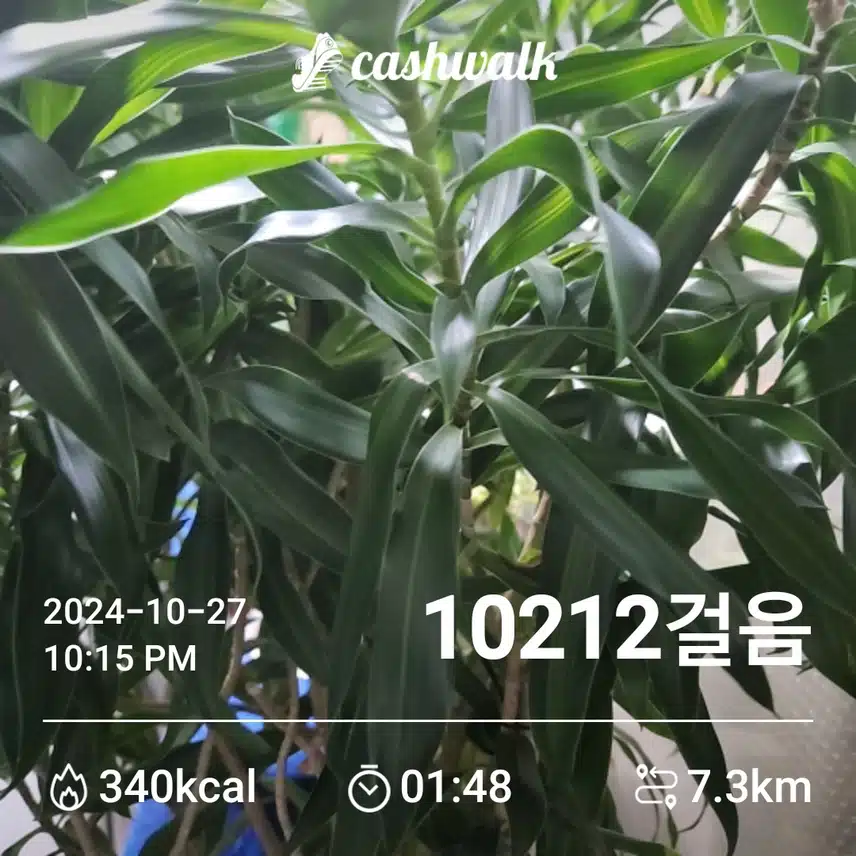 오늘도 만보걷기 완성...^