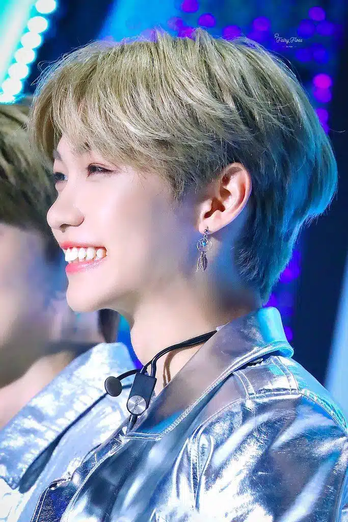 Orecchini Stray Kids Felix Heart: tendenze e articoli consigliati