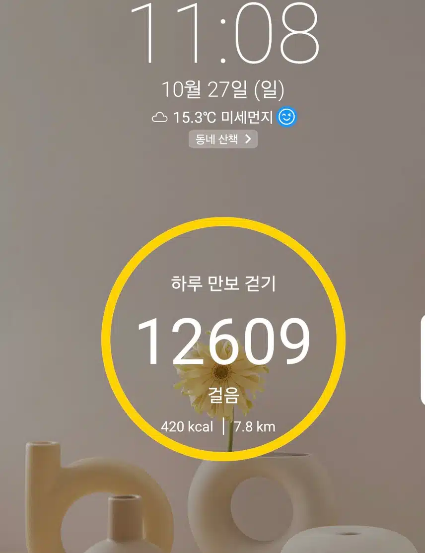 1만2천보 걷기 