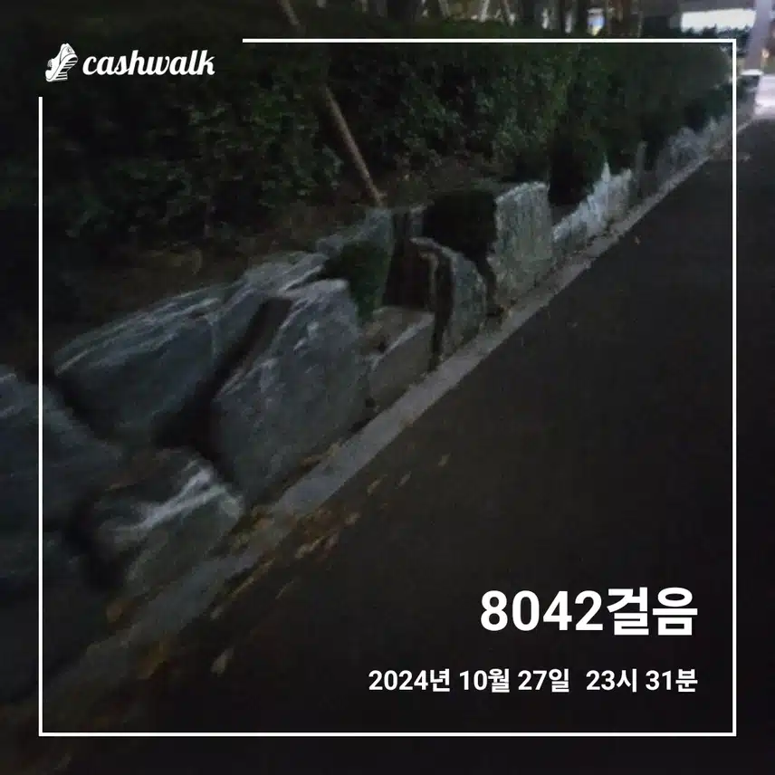 오늘은 8천보