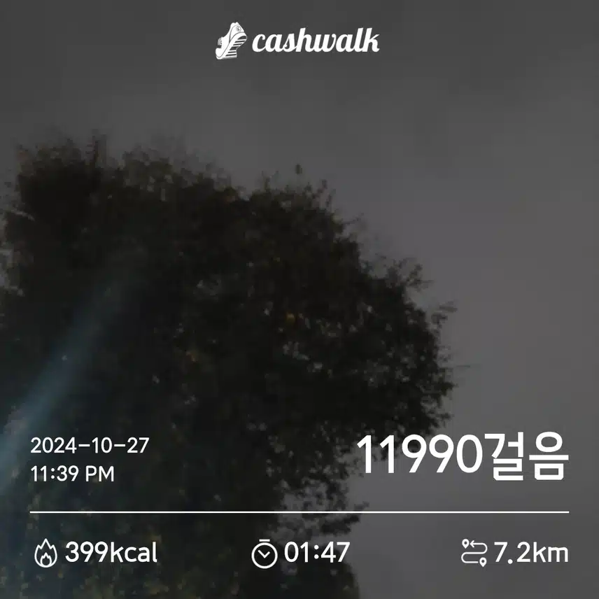 만보 걷기