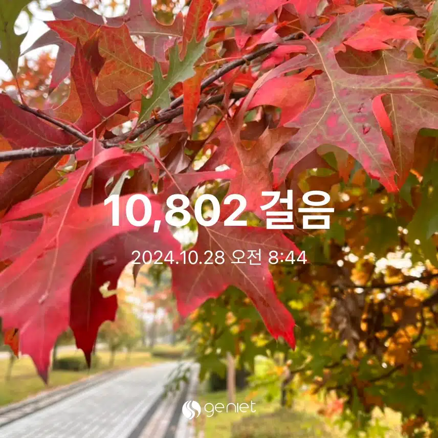 💪오전 만보와 계단오르기
