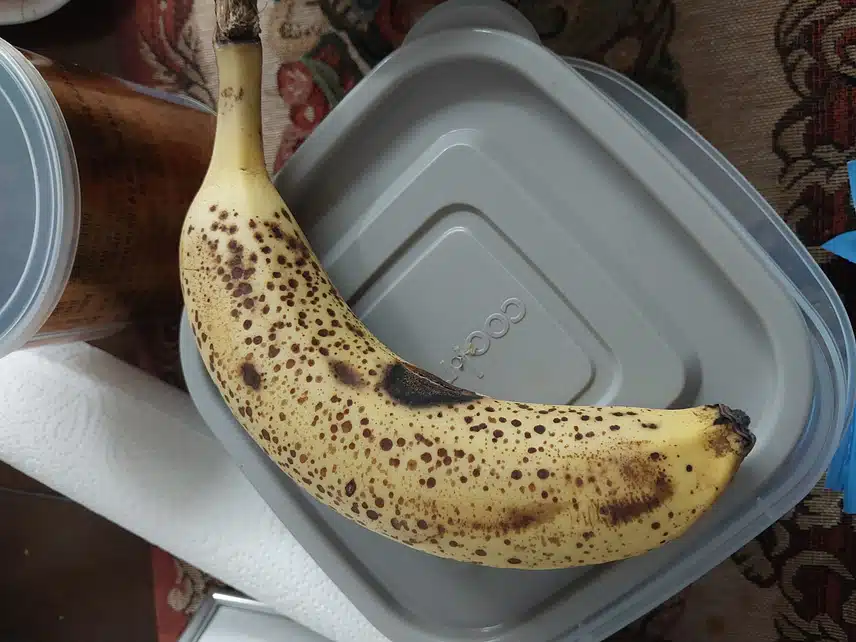 건강한과일