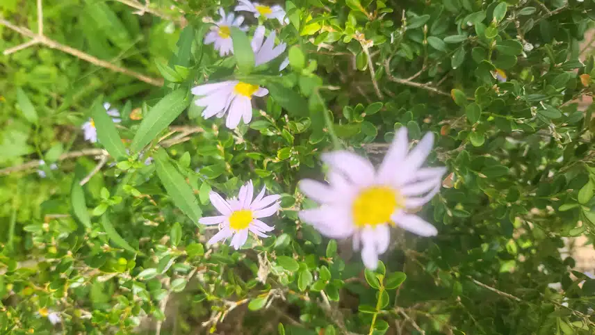 6천보걷기 달성했습니다 