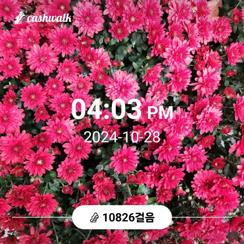 기분좋은 가을 날씨 걸었어요 