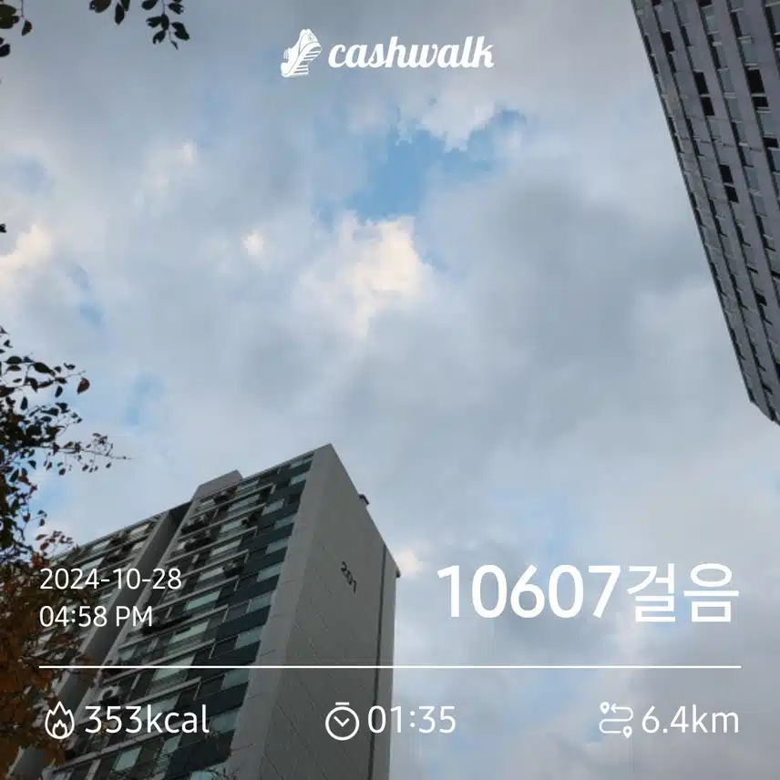 10.000보인증합니다