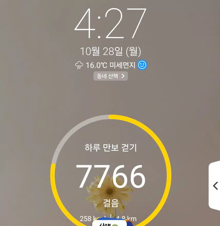 하루 6천보 걷기 