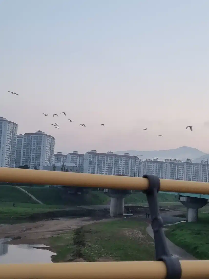   아침운동 만보걷기 
