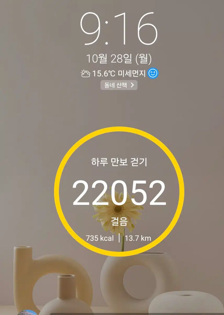 2만2천보 걷기