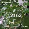 board-img