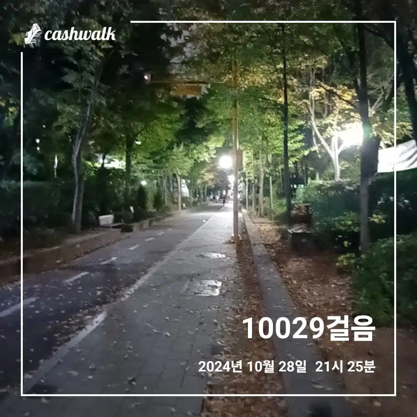 만보걷기 