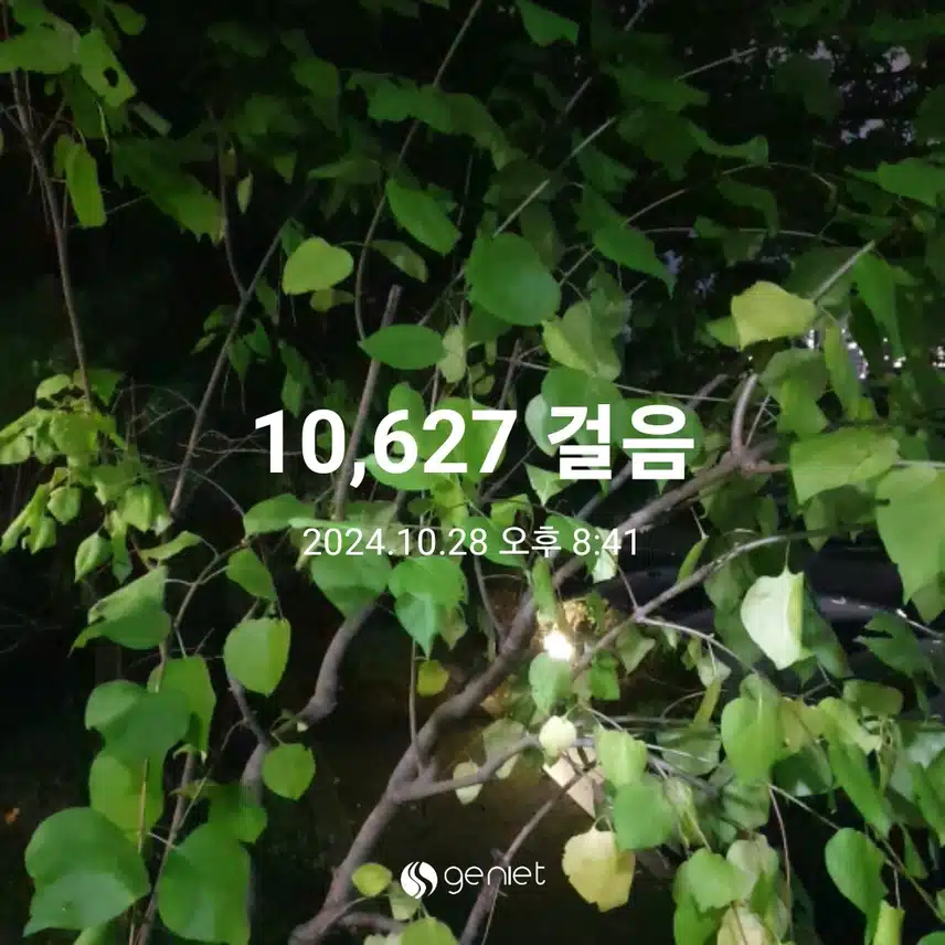 만보 했어요~~