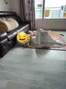 board-img