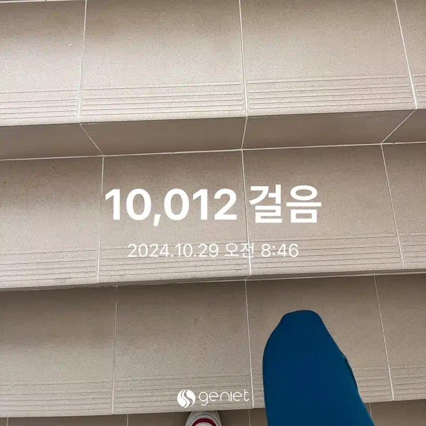 7864723.jpg