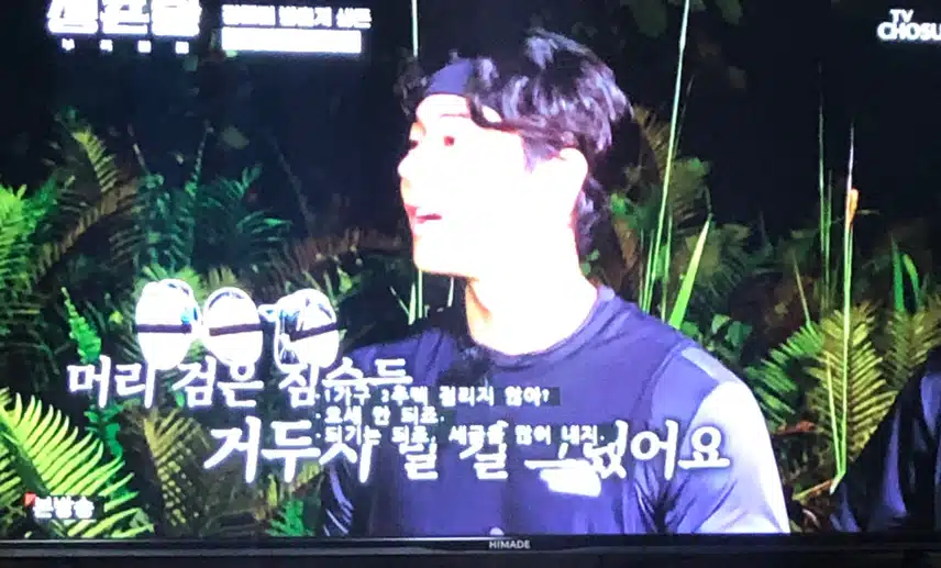 생존왕 보시나요? 