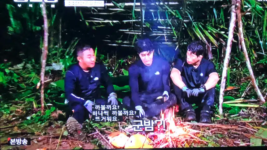 생존왕 보시나요? 