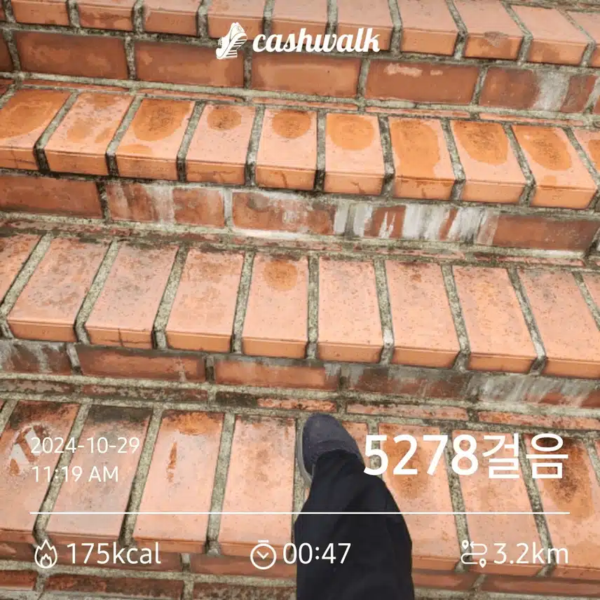 오늘도 행복한 날이 되었네요