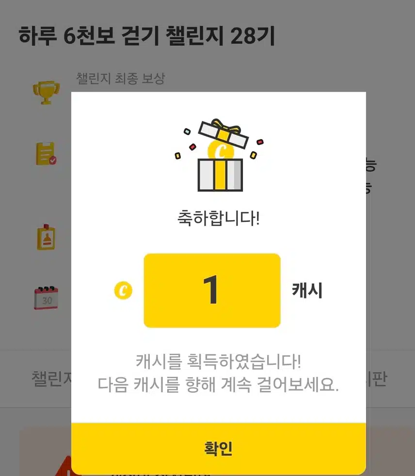 하루 6천보 걷기 인증 캐시 