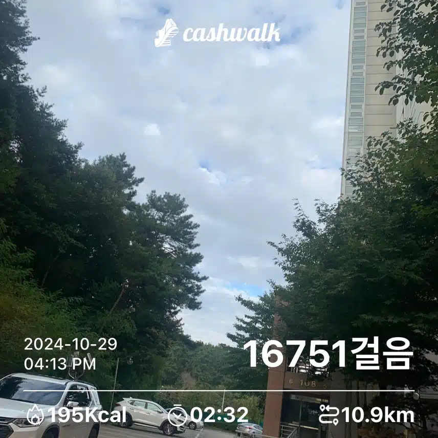 만보 걷기 - 오늘 최종 걸음
