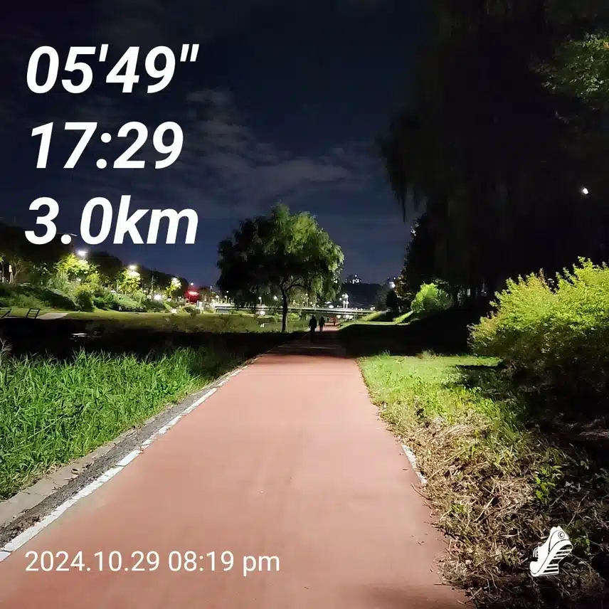 2만보 3km러닝 오늘 목표 완료 집으로🥰