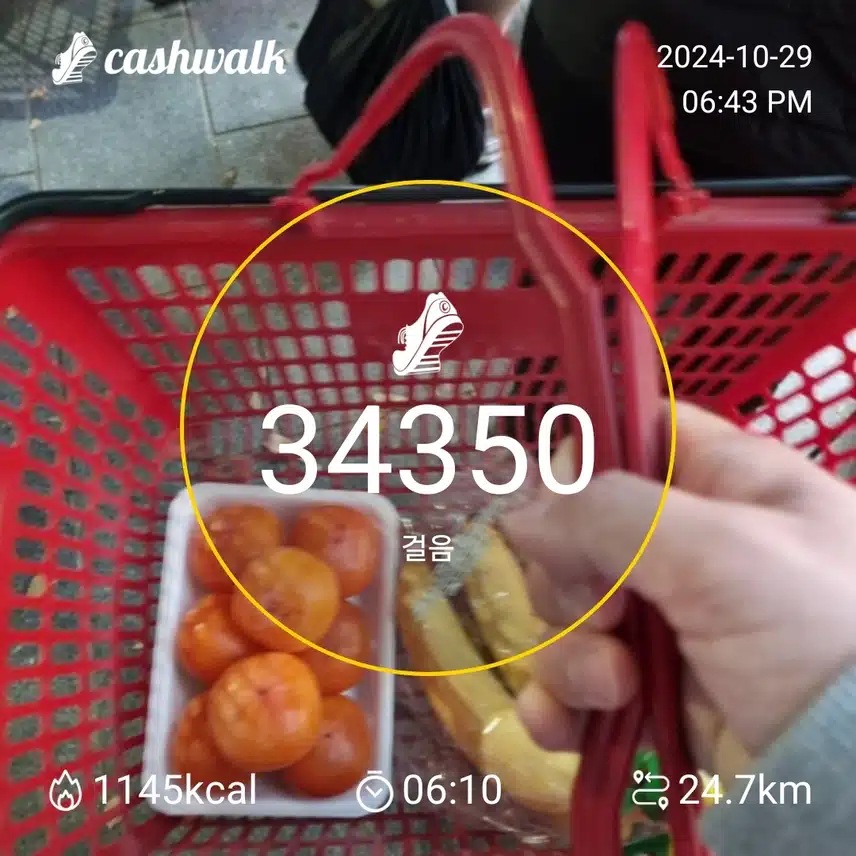 10월29일 걷기 인증