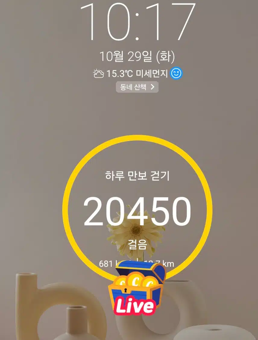 2만보 걷기