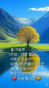 board-img