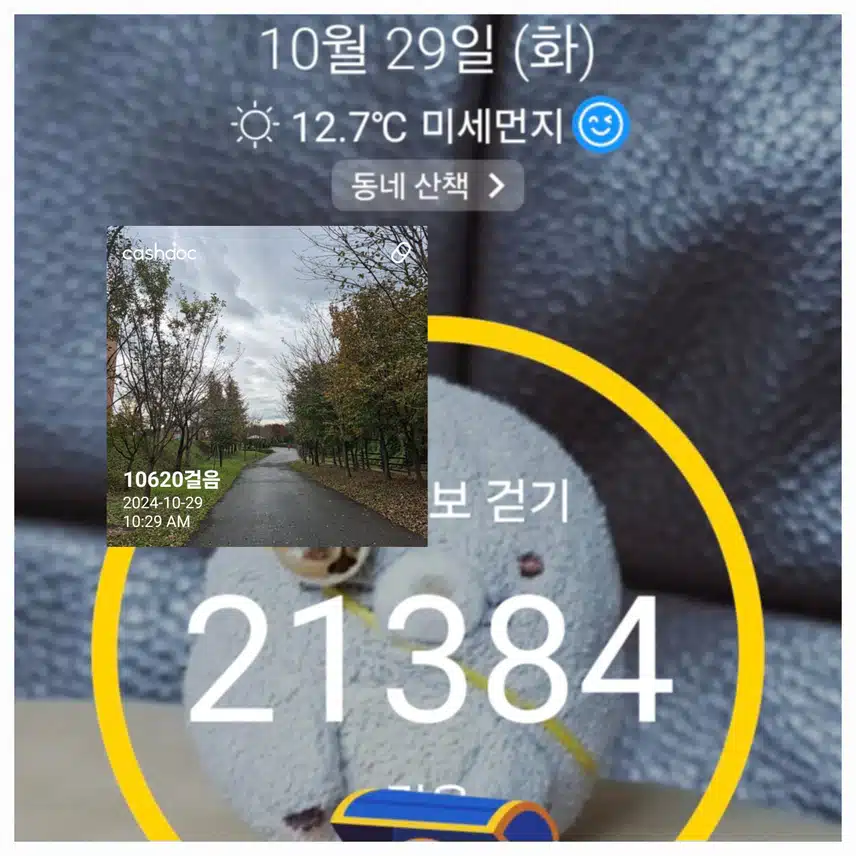 화요일걷기 인증이예요
