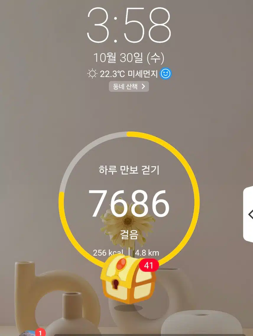 6천보 걷기 