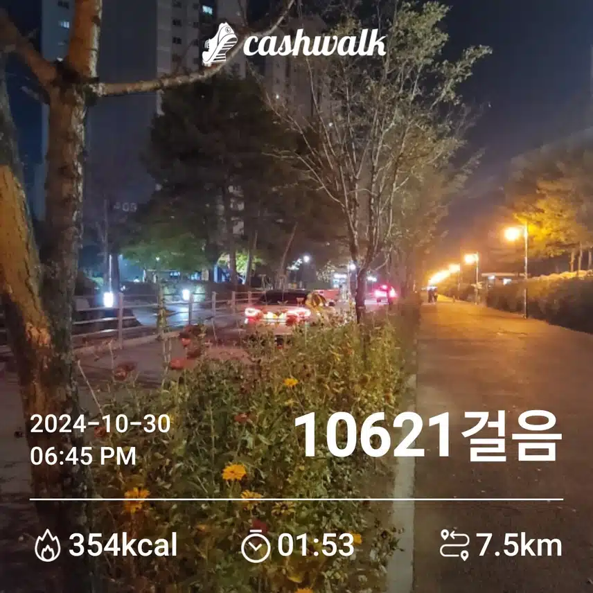 만보걷기 완성^