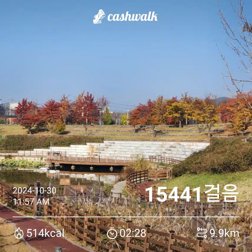 오전에 1만5천보 걸었어요 ~