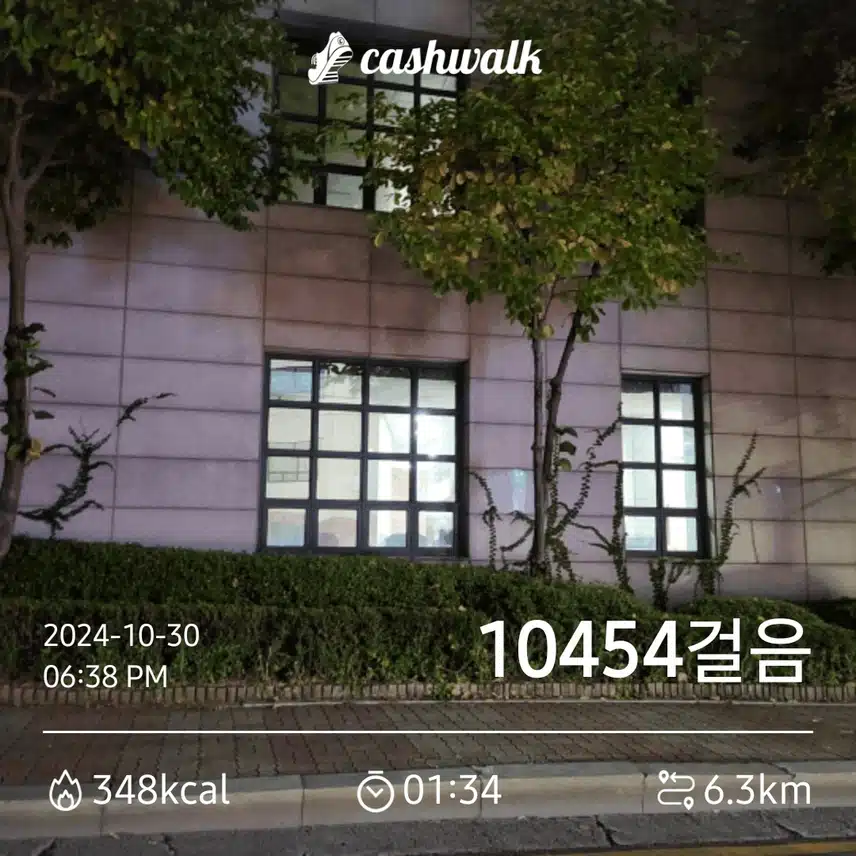 퇴근길에 10,000보를 인증했네요