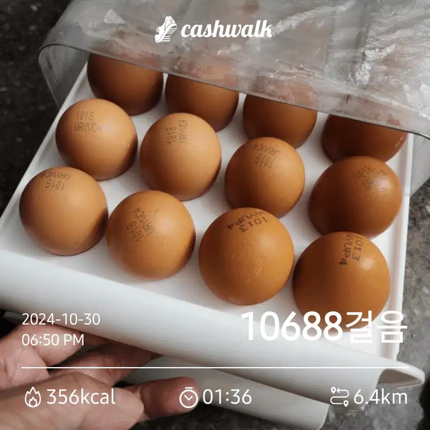 퇴근길에 10,000보를 인증했네요