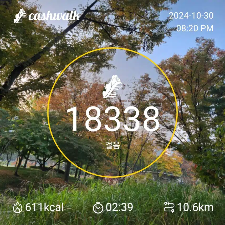 수요일 만팔천보 