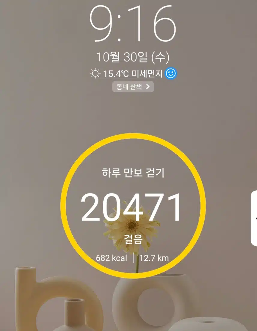 2만보 걷기 